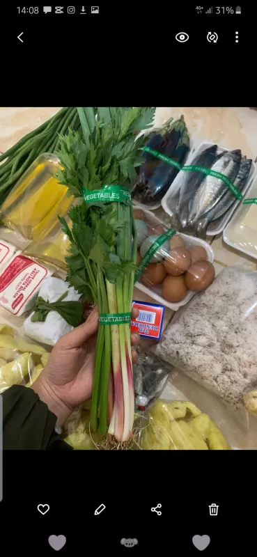 daun bawang campur seledri